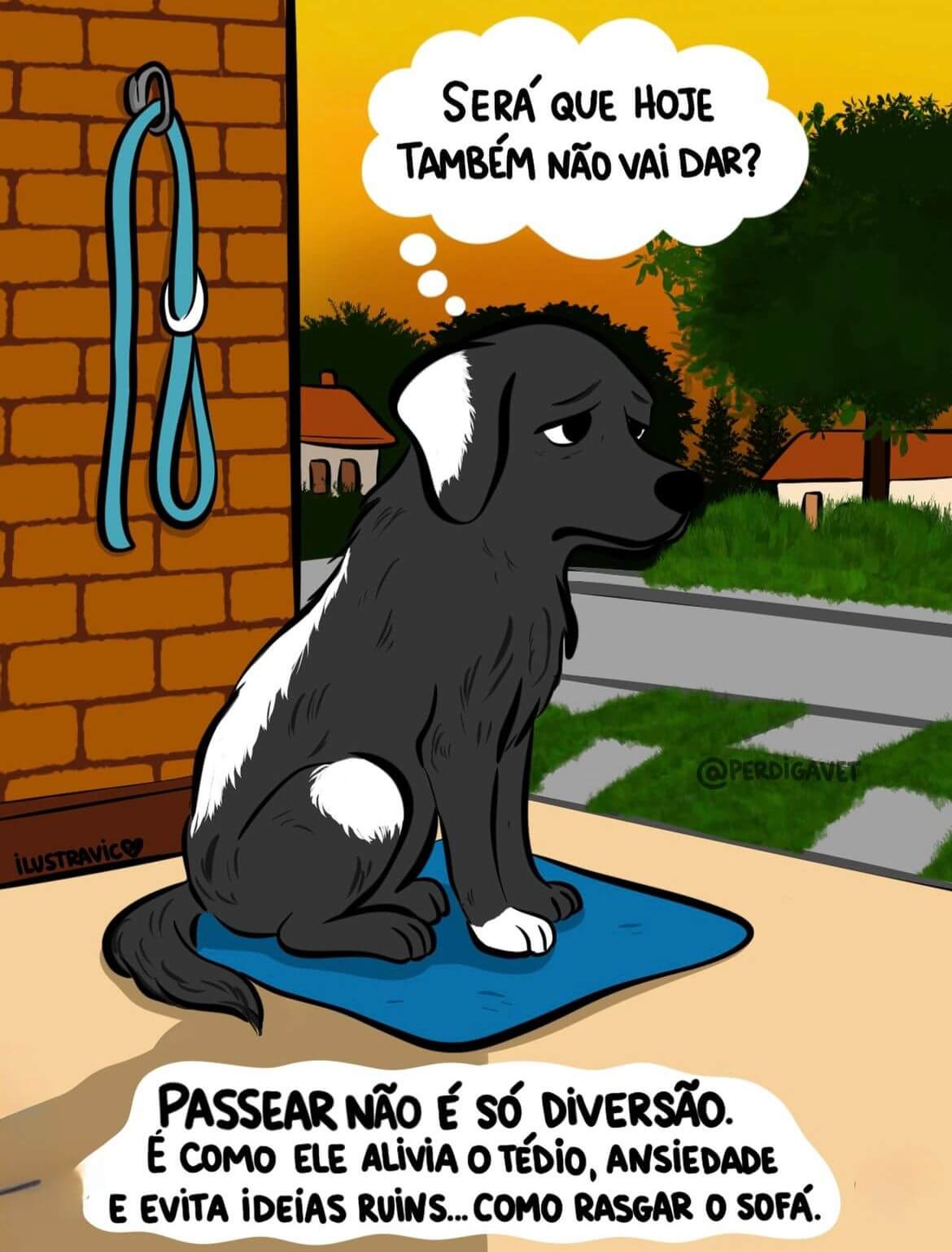 Cardápio de Passeio & Adestramento de Cães